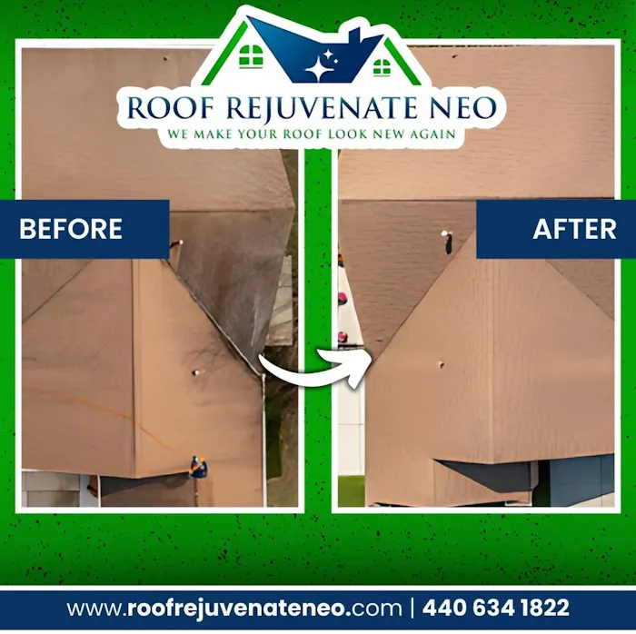 Roof Rejuvenate NEO Picture 7