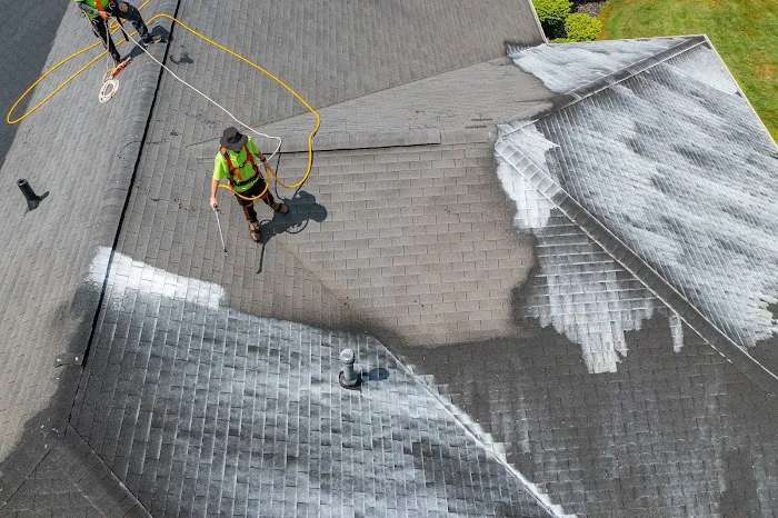 Roof Rejuvenate NEO Picture 8