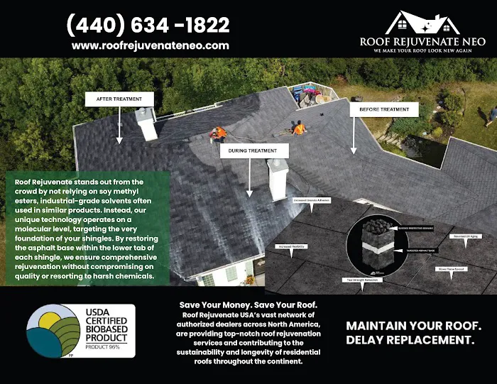 Roof Rejuvenate NEO Picture 10