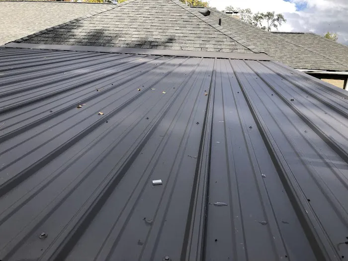 Lake Erie Metal For Shingles Picture 4