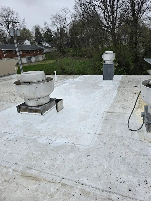 RightMark Roofing Picture 3