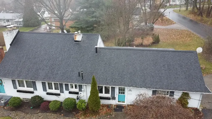 Blue Roofing and Gutters Picture 8