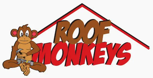 Roof Monkeys Picture 5