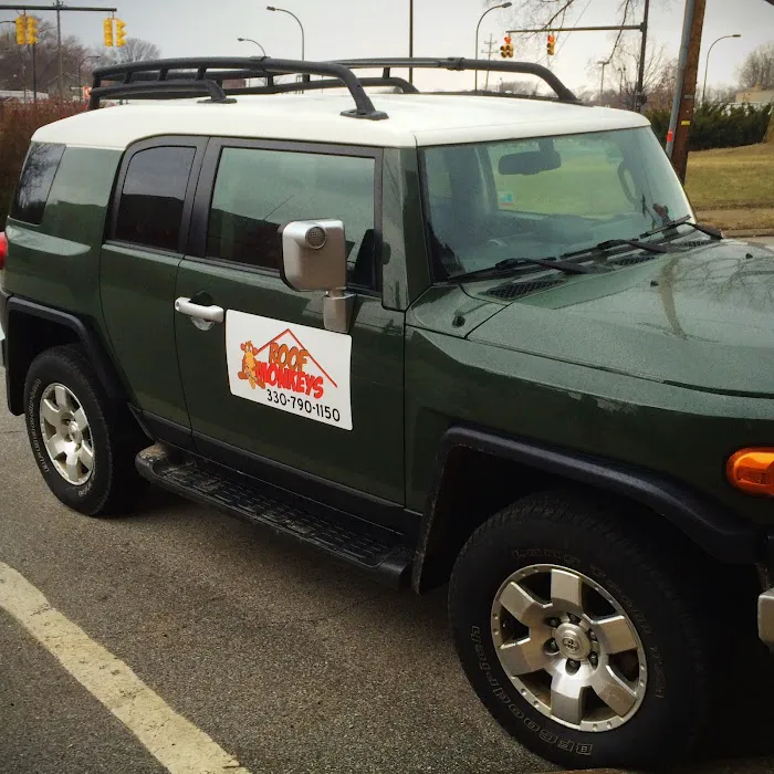 Roof Monkeys Picture 3