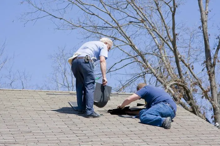 The Local Roofing Guys Picture 1
