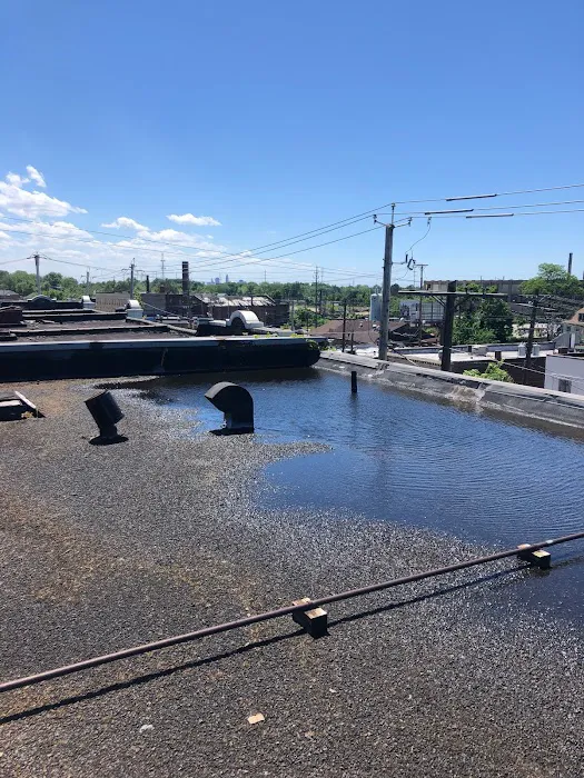 Talon Roofing Picture 2