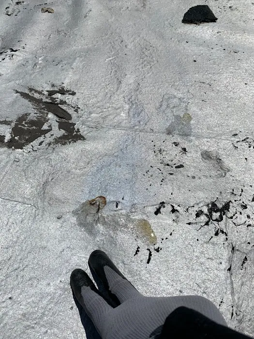 Talon Roofing Picture 7