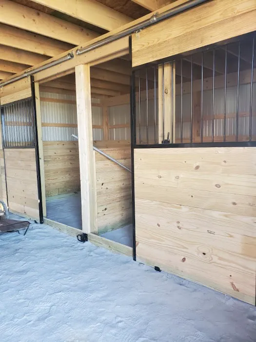 DM Roofing Siding & Windows Picture 8