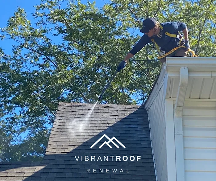 VIBRANT ROOFS Picture 6