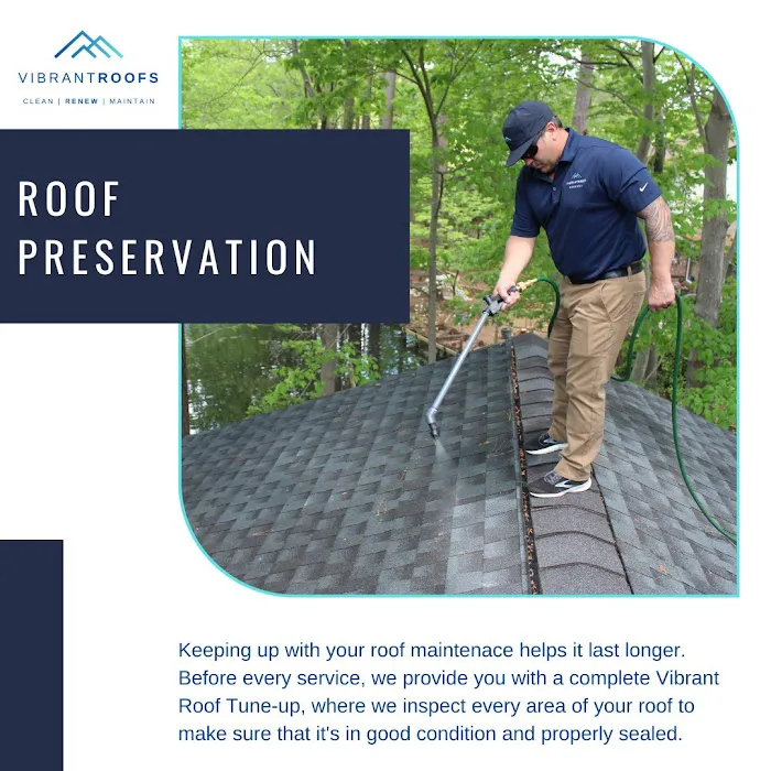 VIBRANT ROOFS Picture 4