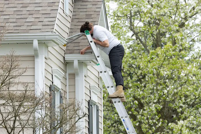 The Captain Picture 4