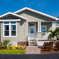 Busy Bee Restoration, Inc. ico