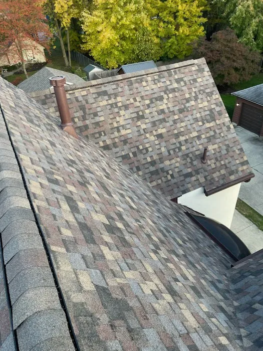 Busy Bee Restoration, Inc. Picture 6