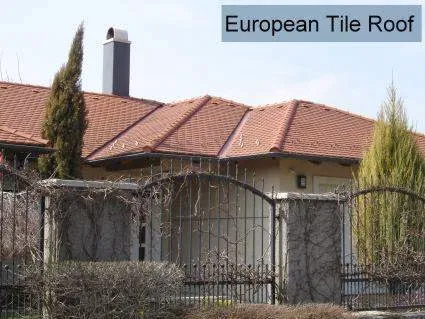 Rustic Slate Roofing Picture 7