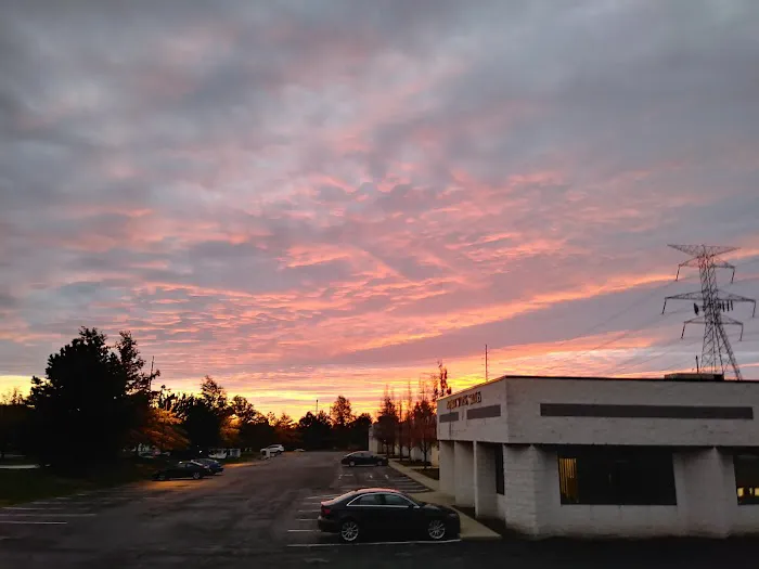 Campo Roof Picture 5