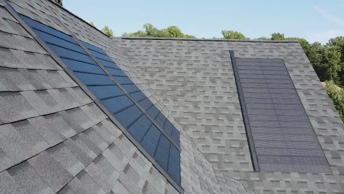 Campo Roof Picture 7