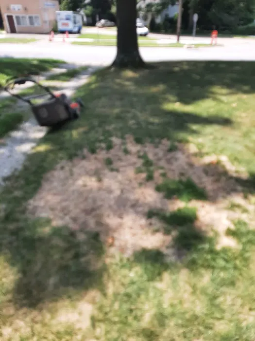 A & B Roofing and Construction Picture 7