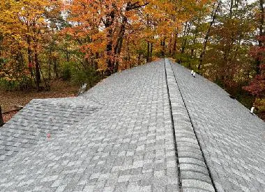 Shane Fisk Roofing Company Inc. Picture 1