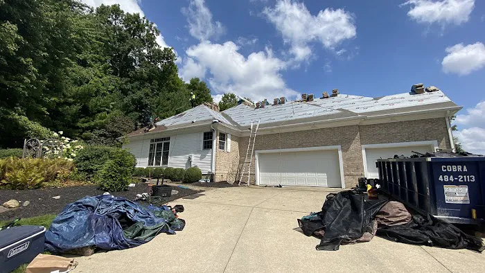 Anthony Roofing Picture 8