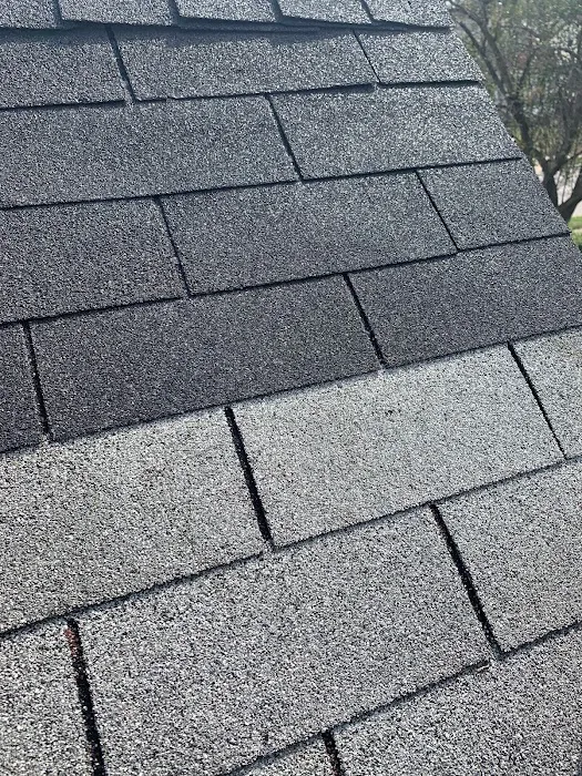 Paint A Roof Picture 3