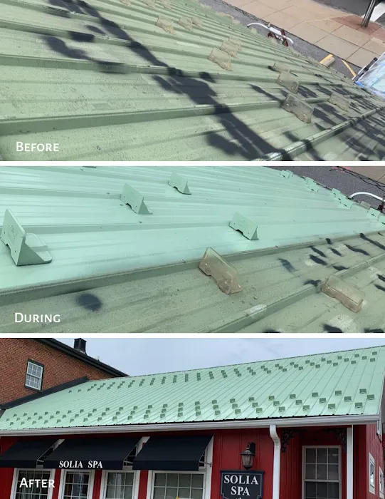 Paint A Roof Picture 5