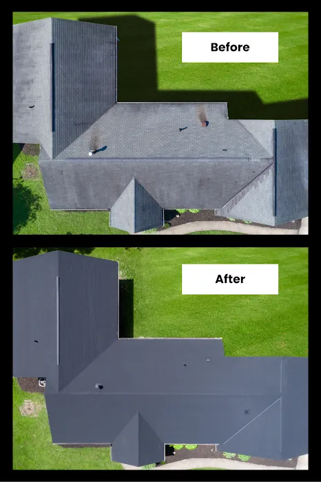 Paint A Roof Picture 6