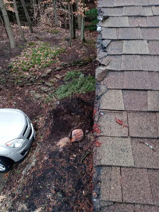 Collins Builders & Roofers Inc Picture 10