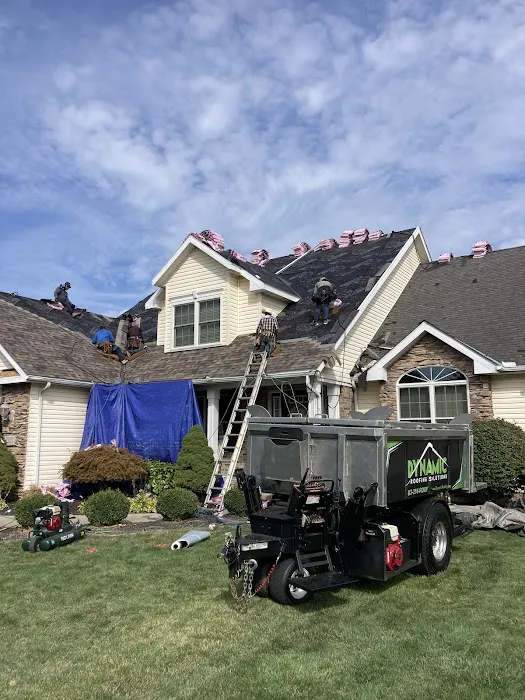 Dynamic Roofing Solutions Picture 8