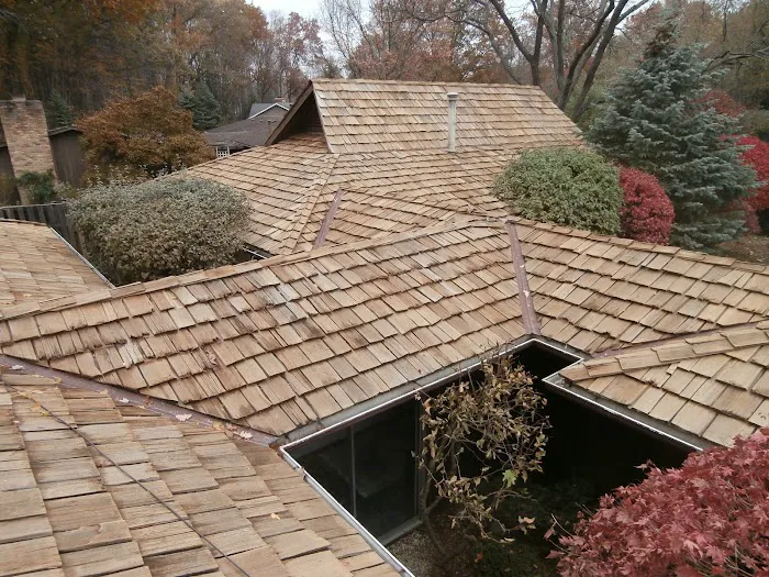 Shake PRO Solutions, LLC Picture 1