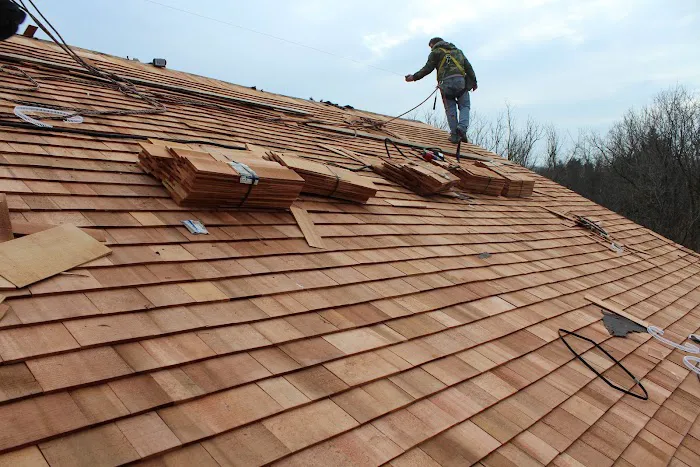 Shake PRO Solutions, LLC Picture 2