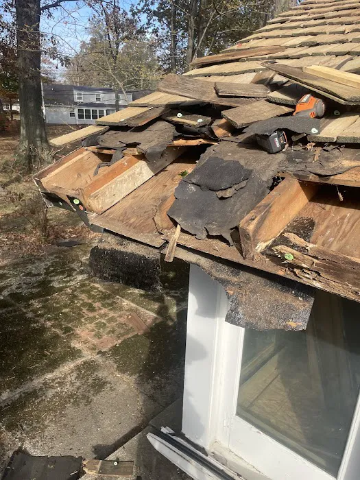 Shake PRO Solutions, LLC Picture 6