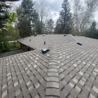 Scottys Roofing & Repair LLC ico