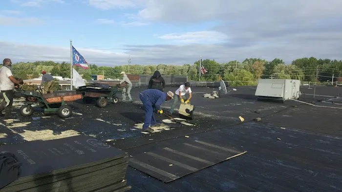 The Beck Co Picture 5