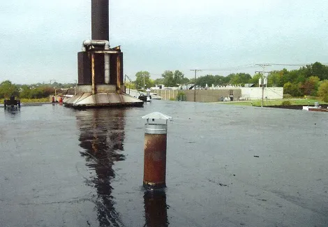 The Beck Co Picture 7