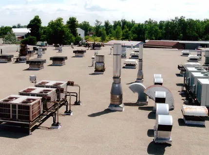 The Beck Co Picture 6