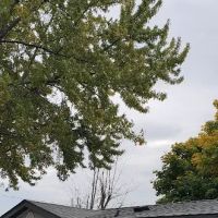 Grand Design Roofing ico