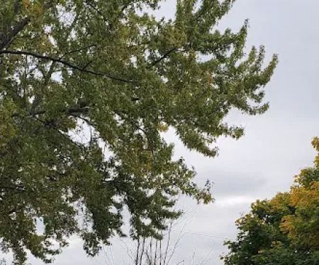 Grand Design Roofing