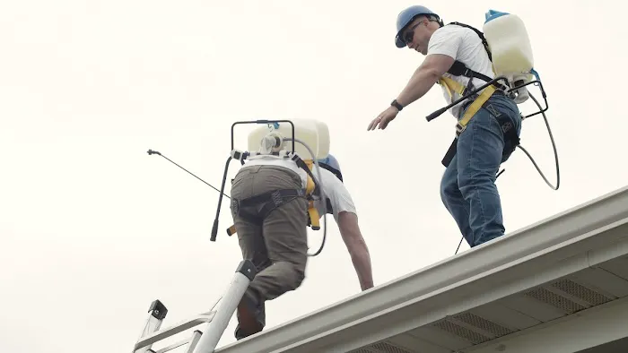 Shingle Magic Ohio Picture 4