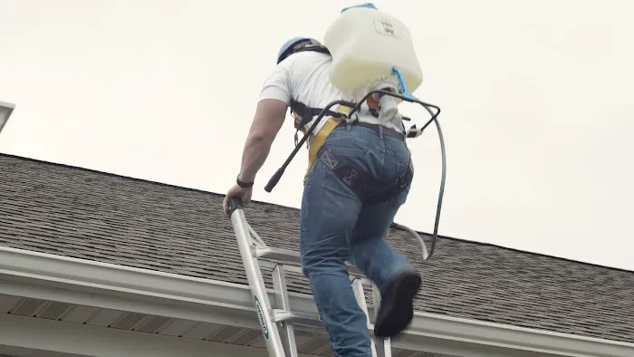 Shingle Magic Ohio Picture 9