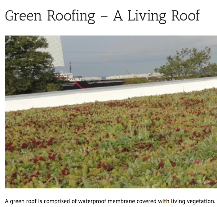 Durable Rooftop Solutions LLC Picture 3