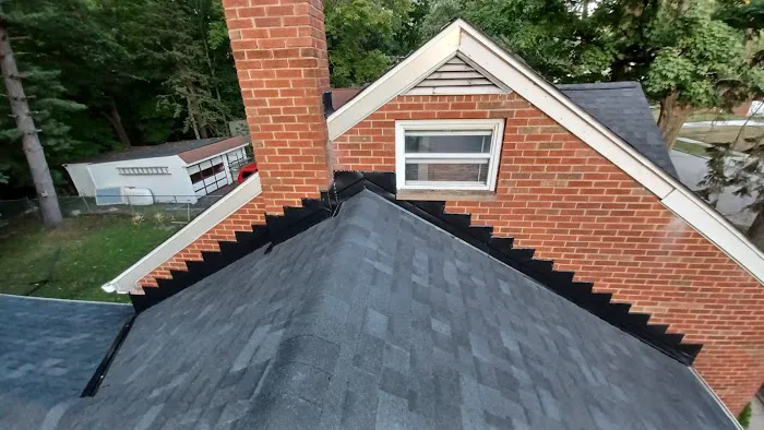 Barahona Roofing Picture 3