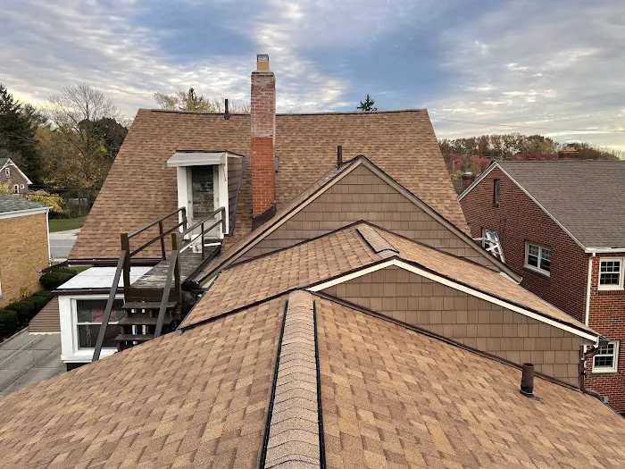 Barahona Roofing Picture 2