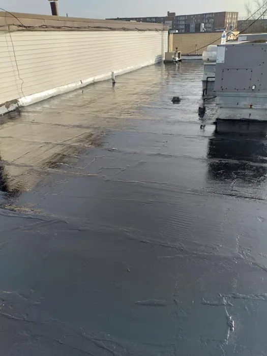 Barahona Roofing Picture 5