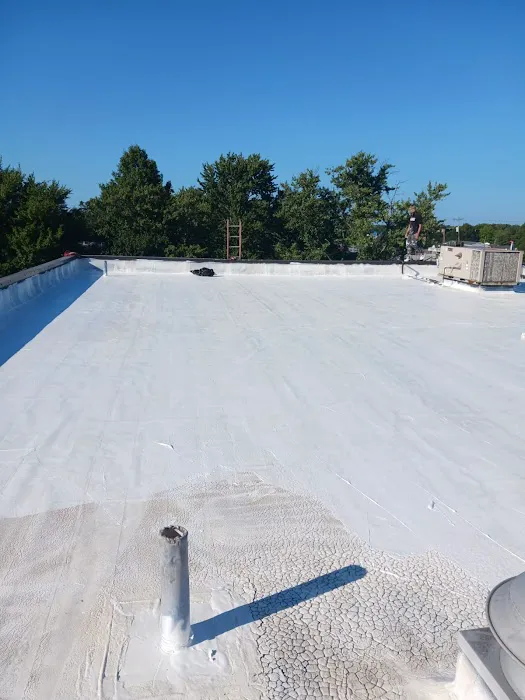 Barahona Roofing Picture 8