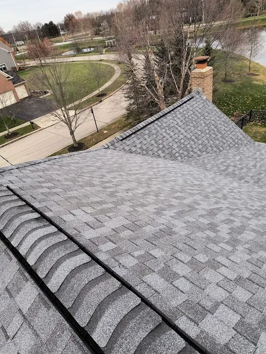 Nuseal roofing Llc Picture 3