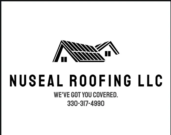 Nuseal roofing Llc Picture 4