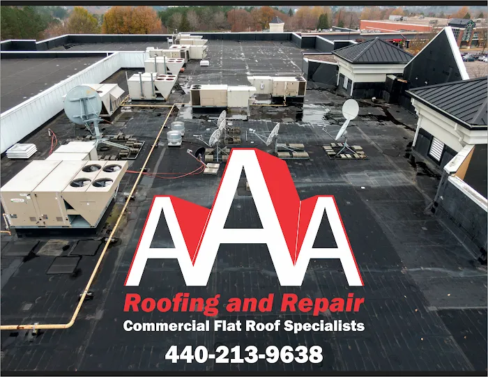 AAA Roofing and Repair Picture 4