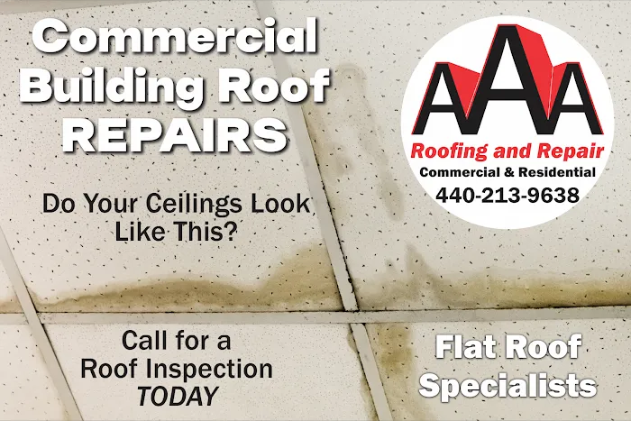 AAA Roofing and Repair Picture 9