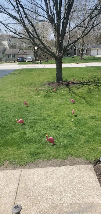 One Time Construction Picture 5