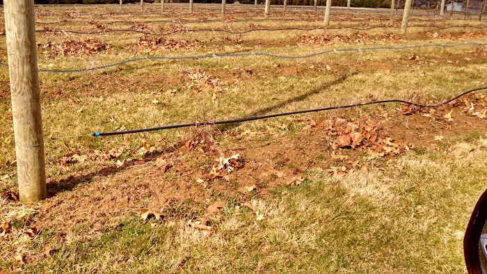 Quality Roofing Picture 1